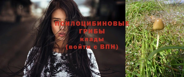 герыч Арсеньев