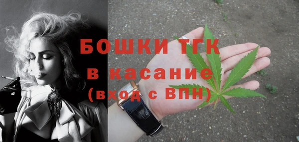 гидра Армянск